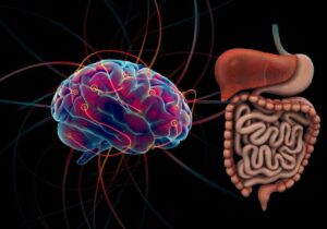 🧠 Microbiota e neurotransmissores: como o intestino influencia seu humor, sono e foco